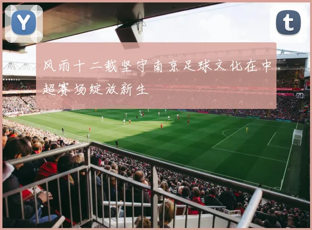 风雨十二载坚守南京足球文化在中超赛场绽放新生