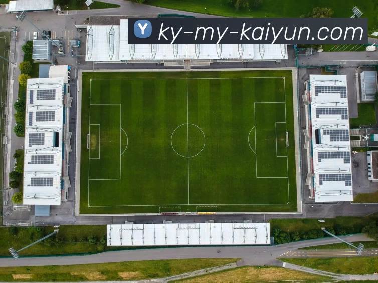 App Interface Preview